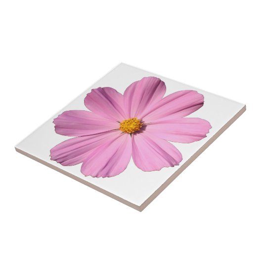 Roze Cosmos Tegeltje (Zijkant)