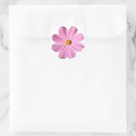Roze Cosmos Vierkante Sticker (Tas)