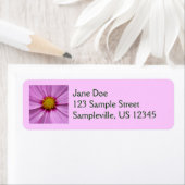 Roze Cosmos Wilde Bloem Floral Etiket (Insitu)