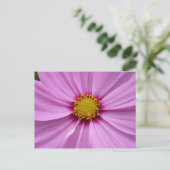 Roze Cosmos Wildflower Floral Briefkaart (Staand voorkant)