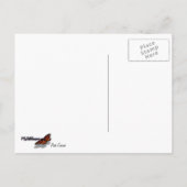 Roze Cosmos Wildflower Floral Briefkaart (Achterkant)