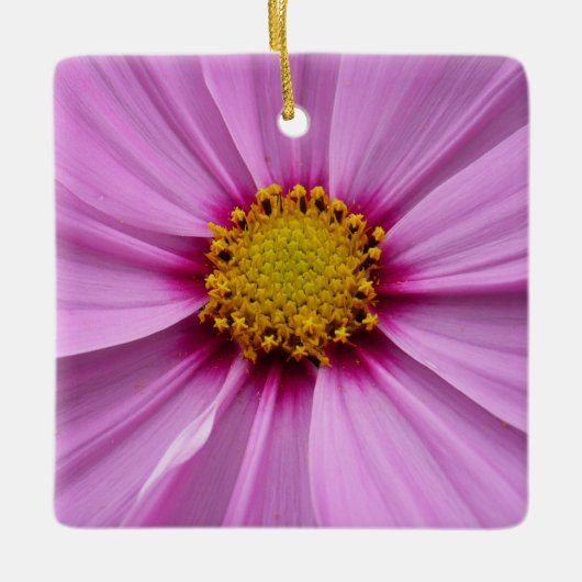 Roze Cosmos Wildflower Floral Keramisch Ornament (Voorkant)