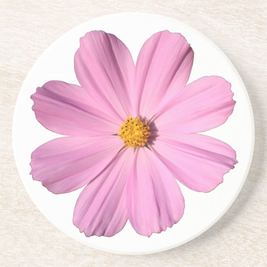 Roze Cosmos Zandsteen Onderzetter (Voorkant)