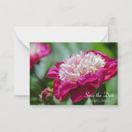 Roze Cottage Peony botanische ventilator Notitiekaartje