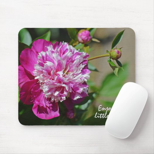 Roze Cottage Peony Flower Motivation Muismat (Met muis)