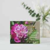 Roze Cottage Peony Flower Pun Briefkaart (Staand voorkant)