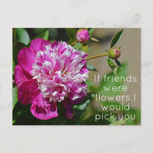 Roze Cottage Peony Flower Pun Briefkaart (Voorkant)
