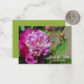 Roze Cottage Peony Flower Save the Date Notitiekaartje (Voorkant / Achterkant in situ)