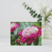 Roze Cottage Peony Flower Thinking of you Briefkaart (Staand voorkant)