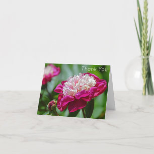 Roze Cottage Pioen Tuin Bloem Dank u Kaart