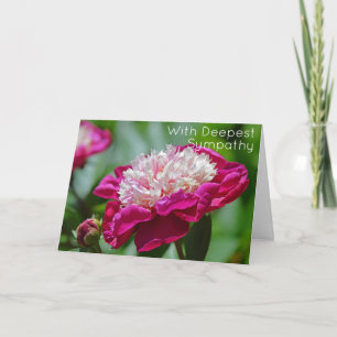Roze Cottage Pioen Tuin Bloem Diepste Sympathie Kaart