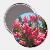 Roze Crape Myrtle Bloemen Fotografie Magneet (Voorkant / Achterkant)
