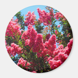Roze Crape Myrtle Bloemen Fotografie Magneet