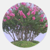 Roze Crape Myrtle Mound Stickers (Voorkant)
