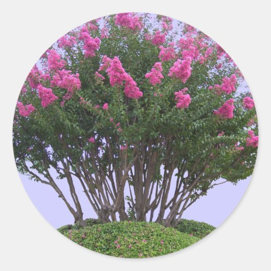 Roze Crape Myrtle Mound Stickers (Voorkant)