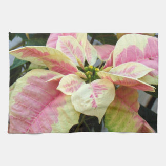 Roze Cream Poinsettia Theedoek