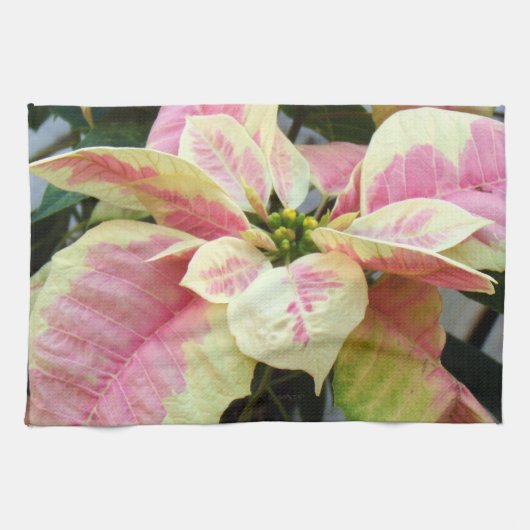 Roze Cream Poinsettia Theedoek (Horizontaal)