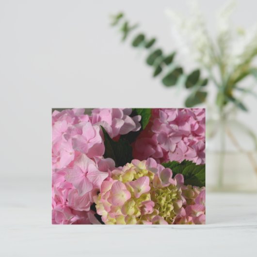 Roze Crème Hydrangeas geel roze groen bloemig Briefkaart (Staand voorkant)