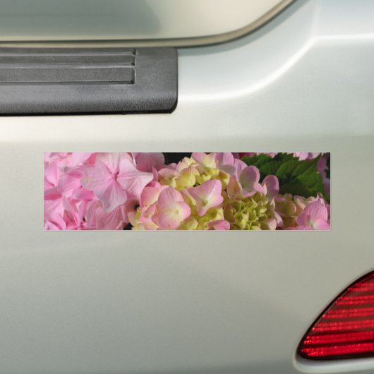 Roze Crème Hydrangeas geel roze groen bloemig Bumpersticker (Op auto)