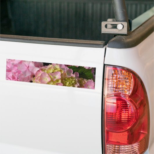 Roze Crème Hydrangeas geel roze groen bloemig Bumpersticker (Op Truck)