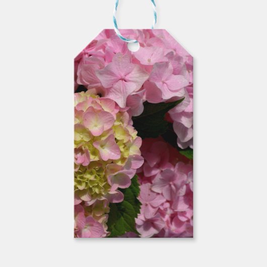 Roze Crème Hydrangeas geel roze groen bloemig Cadeaulabel (Voorkant)