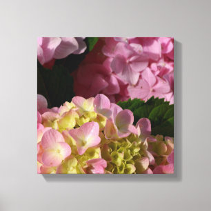 Roze Crème Hydrangeas geel roze groen bloemig Canvas Afdruk