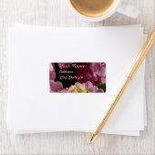 Roze Crème Hydrangeas geel roze groen bloemig Etiket (Insitu)