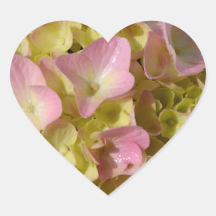 Roze Crème Hydrangeas geel roze groen bloemig Hart Sticker