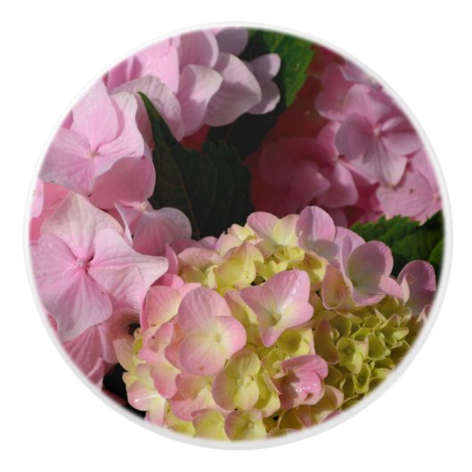 Roze Crème Hydrangeas geel roze groen bloemig Keramische Knop (Voorkant)