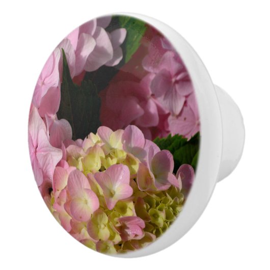 Roze Crème Hydrangeas geel roze groen bloemig Keramische Knop (Rechts)