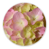 Roze Crème Hydrangeas geel roze groen bloemig Keramische Knop (Voorkant)