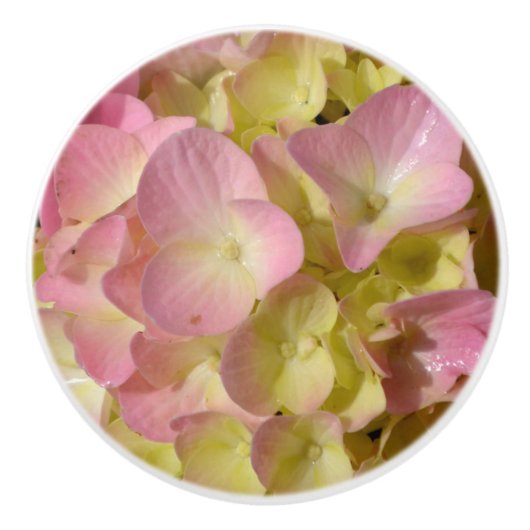 Roze Crème Hydrangeas geel roze groen bloemig Keramische Knop (Voorkant)