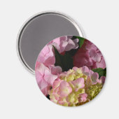 Roze Crème Hydrangeas geel roze groen bloemig Magneet (Voorkant / Achterkant)