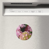 Roze Crème Hydrangeas geel roze groen bloemig Magneet (Insitu (Vaatwasser))