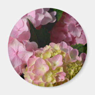 Roze Crème Hydrangeas geel roze groen bloemig Magneet