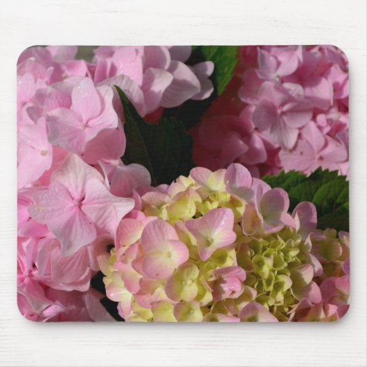 Roze Crème Hydrangeas geel roze groen bloemig Muismat (Voorkant)