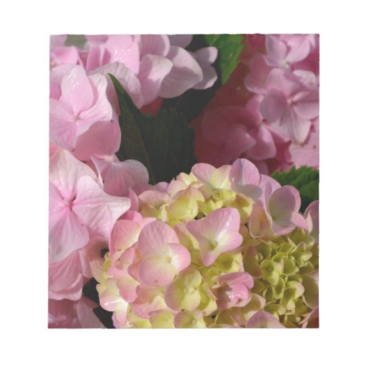 Roze Crème Hydrangeas geel roze groen bloemig Notitieblok (Voorkant)