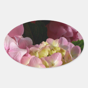 Roze Crème Hydrangeas geel roze groen bloemig Ovale Sticker