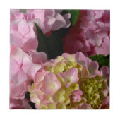 Roze Crème Hydrangeas geel roze groen bloemig Tegeltje (Voorkant)