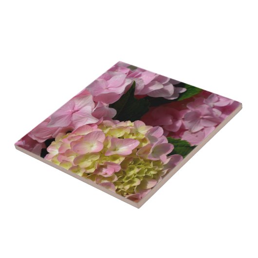 Roze Crème Hydrangeas geel roze groen bloemig Tegeltje (Zijkant)