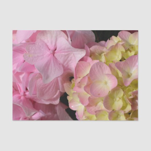 Roze Crème Hydrangeas geel roze groen bloemig Tissuepapier (Voorkant)