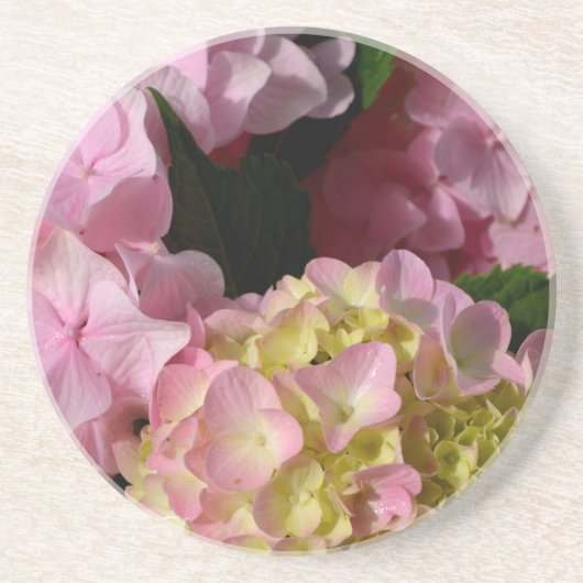 Roze Crème Hydrangeas geel roze groen bloemig Zandsteen Onderzetter (Voorkant)