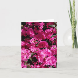 Roze Crepe Bloemen in de Tuin Feestdagen Kaart