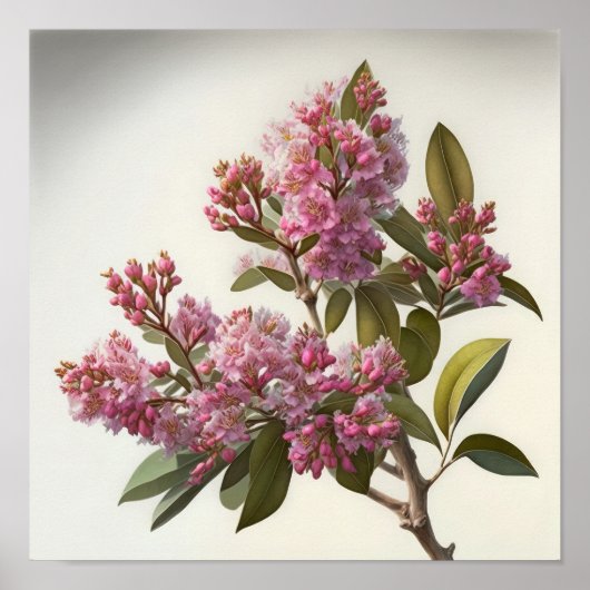 Roze Crêpe Myrtle Flowers Art Print Poster (Voorkant)