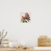 Roze Crêpe Myrtle Flowers Art Print Poster (Keuken)