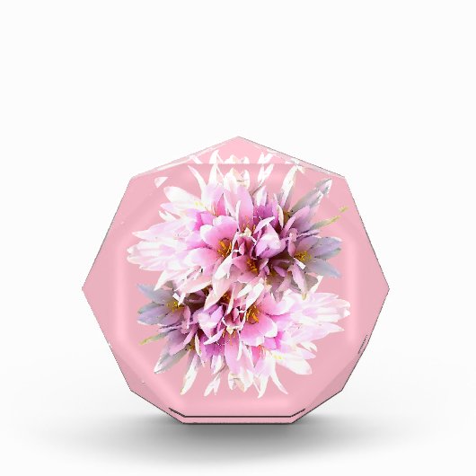 Roze Crocus Flowers Bouquet Fotoblokken (Voorkant)