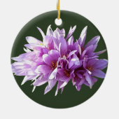 Roze Crocus Flowers Keramisch Ornament (Achterkant)