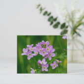 Roze Cuckoo Flowers Briefkaart (Staand voorkant)