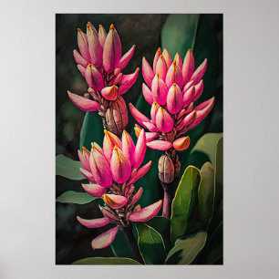 Roze Curcuma Flowers Art Print Poster