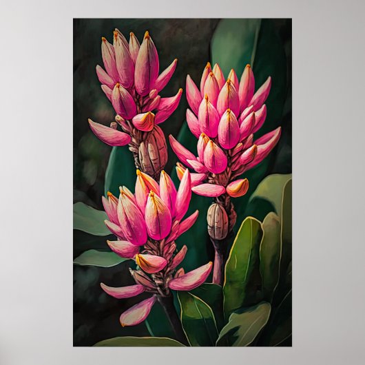 Roze Curcuma Flowers Art Print Poster (Voorkant)